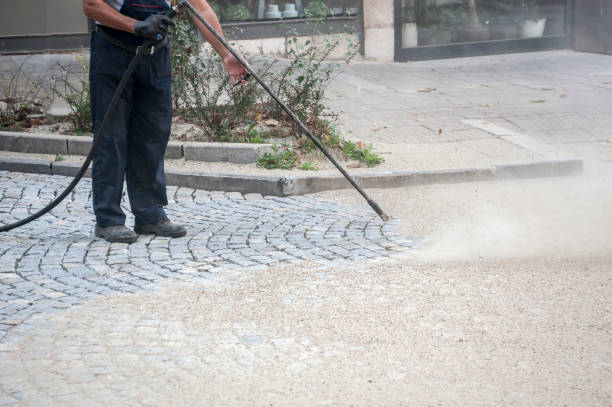 Best Roof Cleaning and Mildew Removal in Aledo, TX